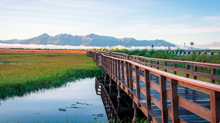 Boardwalk Potter Marsh
