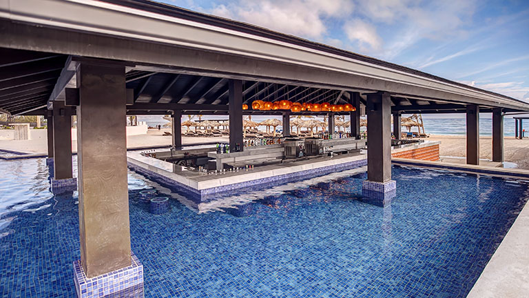 Swim Up Bar